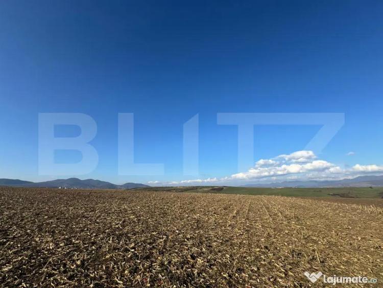 Teren extravilan agricol 5700 mp, Cristur - 3