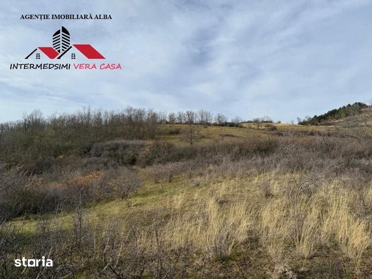 Teren de 8010 mp, în Vințu de Jos