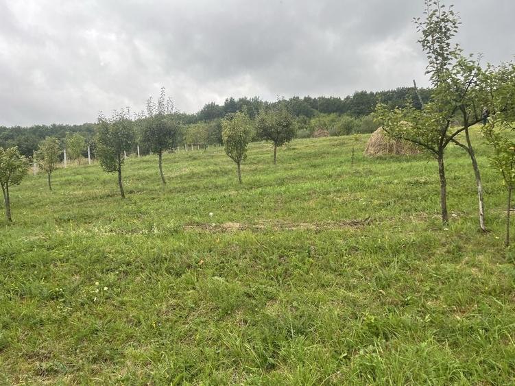 Teren de 750 mp, în Unirea