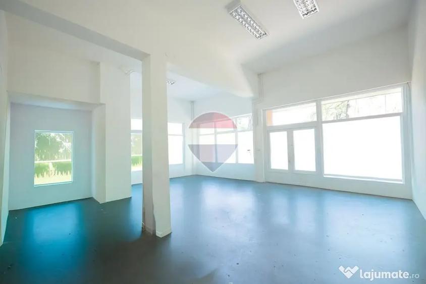 Spațiu comercial, de 75 mp, în Rogerius