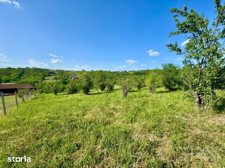 Teren de 3245 mp, în Dealuri Oradea