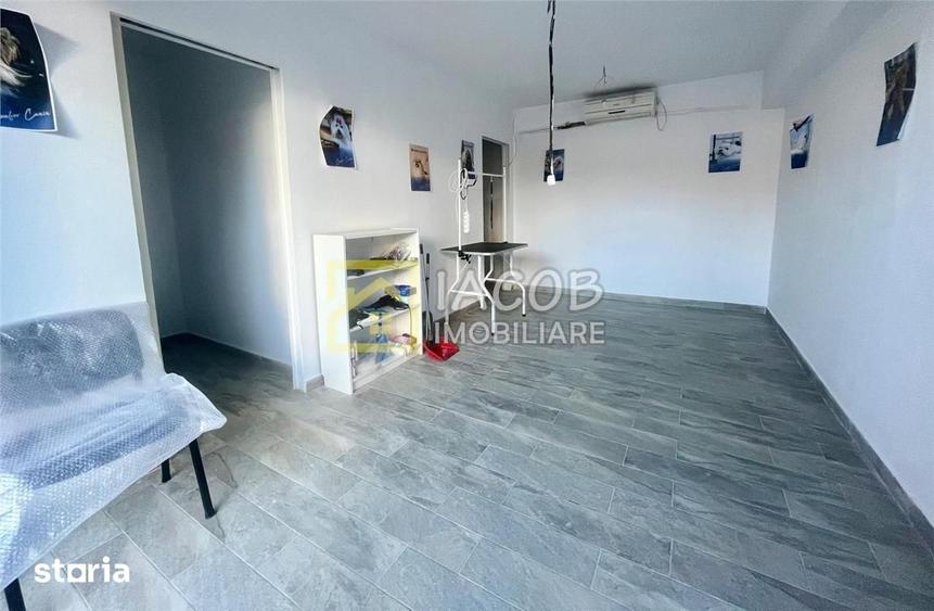 Spațiu comercial, de 250 mp, în Mioriței