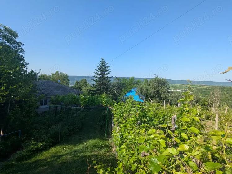 Casă cu 6 camere cu Teren 23000 Mp în Horodiștea