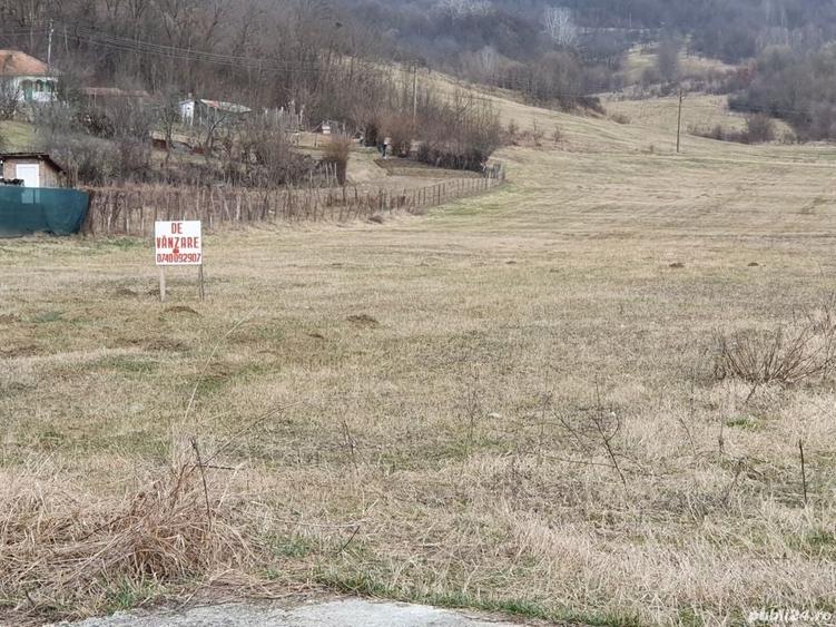 Teren de 10000 mp, în Central