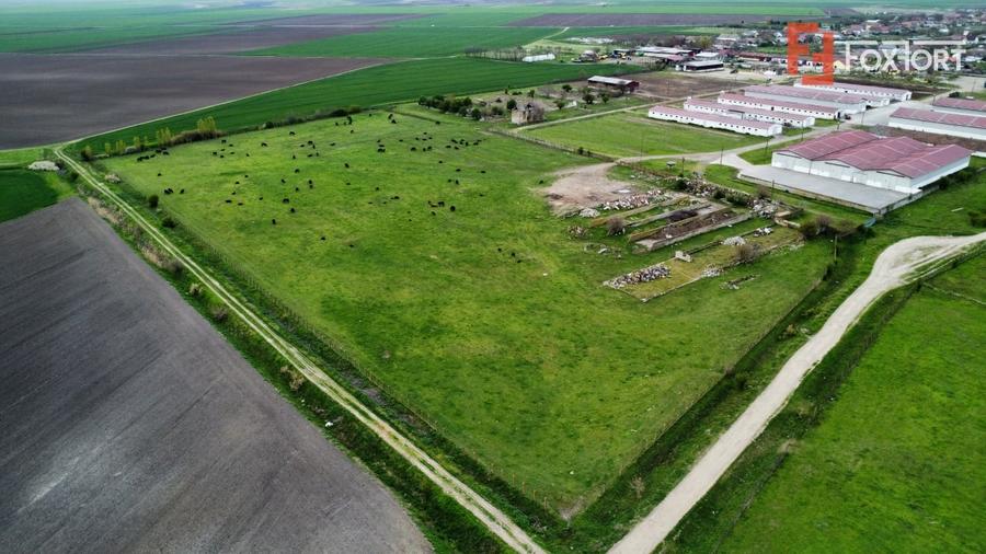 Teren Construcții intravilan de 58340 mp, în Sânmartinu Sârbesc
