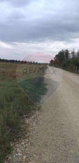 Teren agricol extravilan de 3000 mp, în Sântion