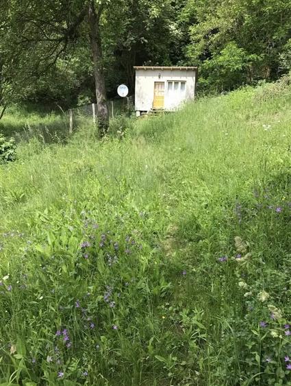 Teren de 1000 mp, în Băbana