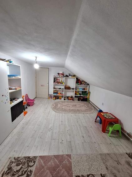 Casă individuală cu 5 camere cu Teren 7000 Mp în Central