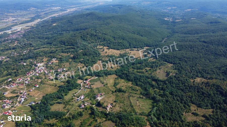 Teren de 165331 mp, în Băiculești