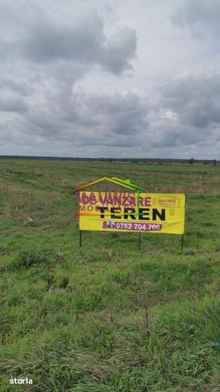 Teren de 16700 mp, în Găneasa