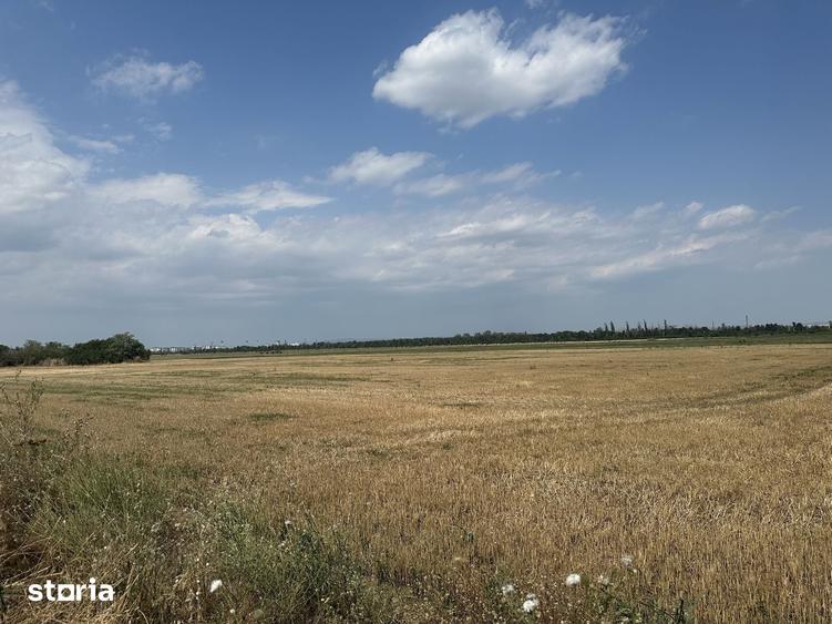 Teren de 19062 mp, în Vest
