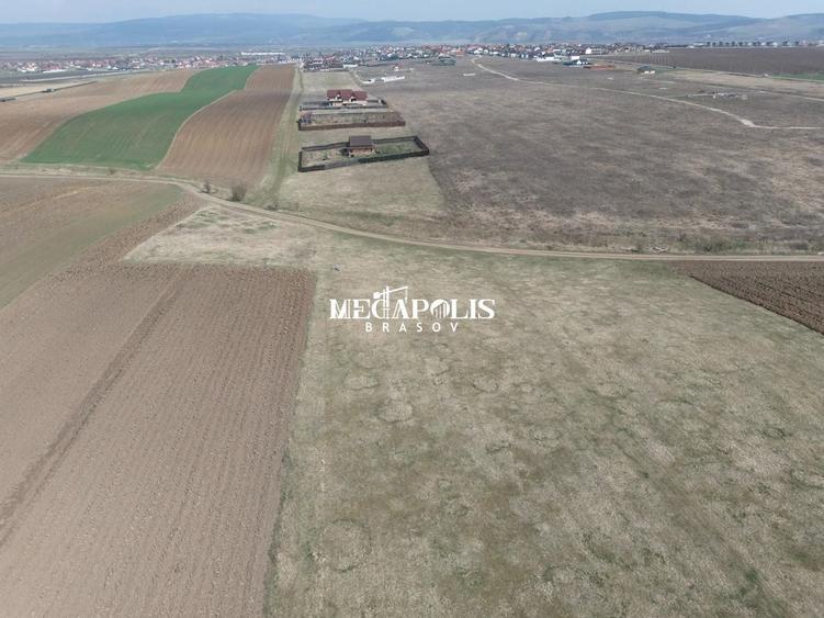 Teren Construcții intravilan de 1200 mp, în Bod