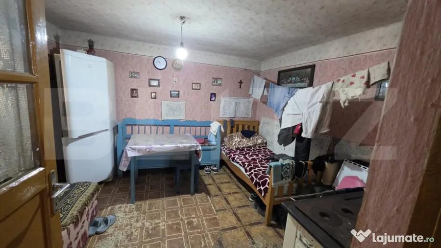 Casă cu 4 camere cu Teren 2658 Mp în Sătmărel