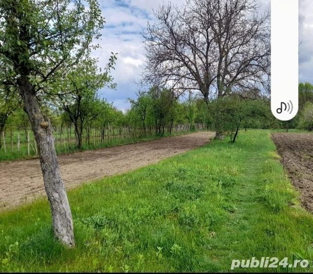 Teren de 2403 mp, în Iedera