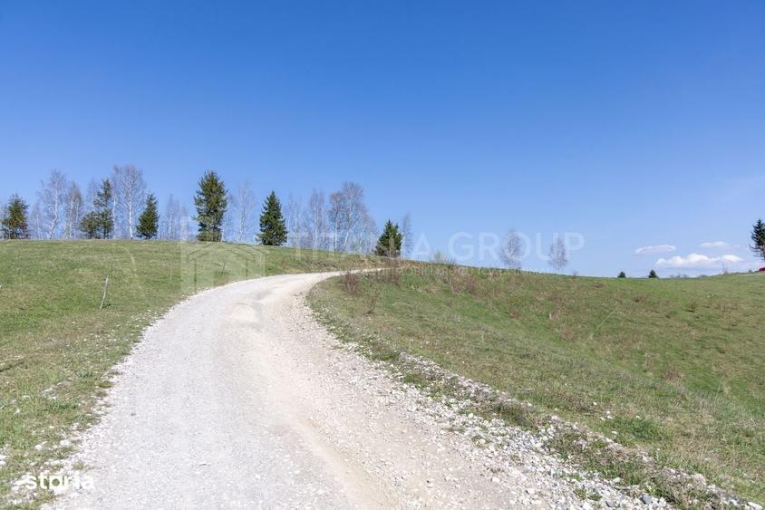 Spațiu comercial, în Drumul Carului
