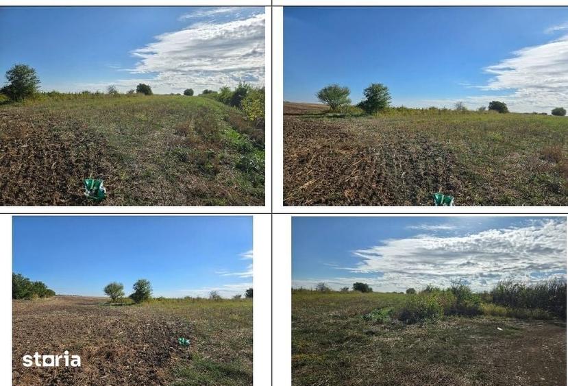 Teren de 6910 mp, în Petrăchioaia
