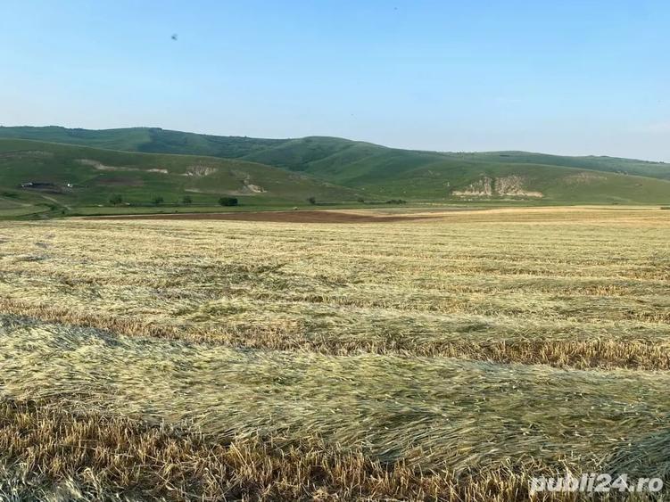 Teren de 14500 mp, în Cojocna
