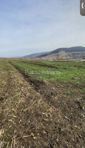 Vand teren intravilan cu suprafa?a de 2000 m