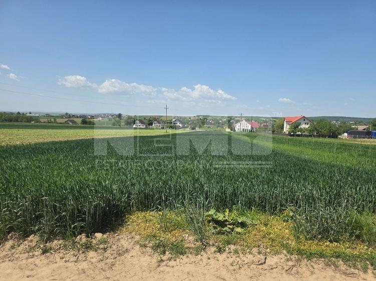 Teren agricol extravilan de 2600 mp, în Mitocu Dragomirnei