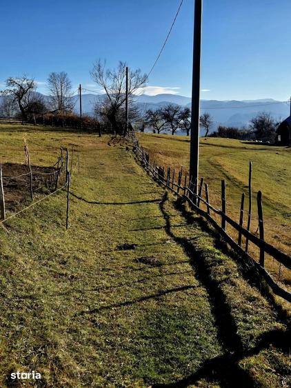 Magura/Brasov, teren generos, pretabil investitie cabane/pensiune/casa - 17