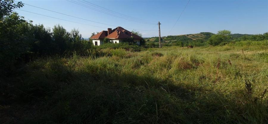 Teren  8 227 mp + Casa demolabila de vanzare in Filiasi -  Fratostita Dolj - 7