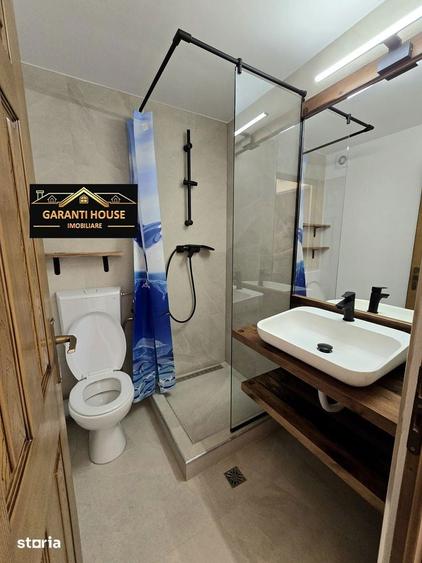 Hortensiei, apartament cu o camera, etaj 2, mobilat, utilat, 230/Luna - 2
