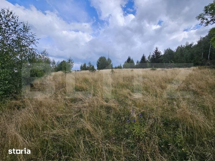 Teren intravilan 5.271 mp cu priveliste spectaculoasa Garda de Sus - 2