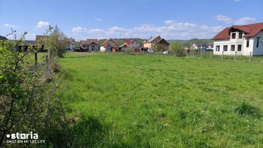 Teren de 3000 mp, în Livezile