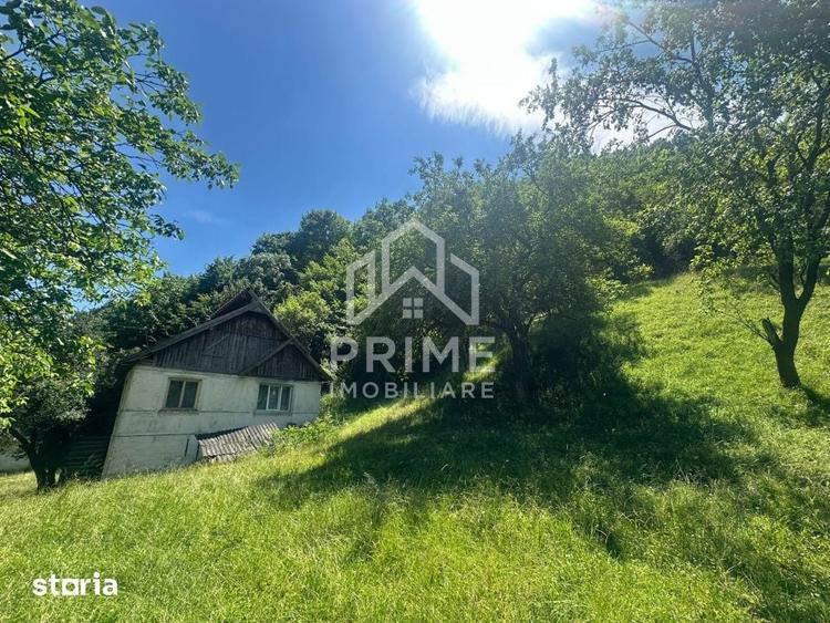 Casă cu 3 camere cu Teren 25000 Mp în Central