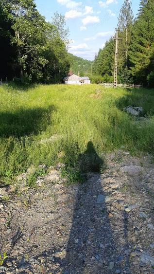 Teren de 2250 mp, în Albac