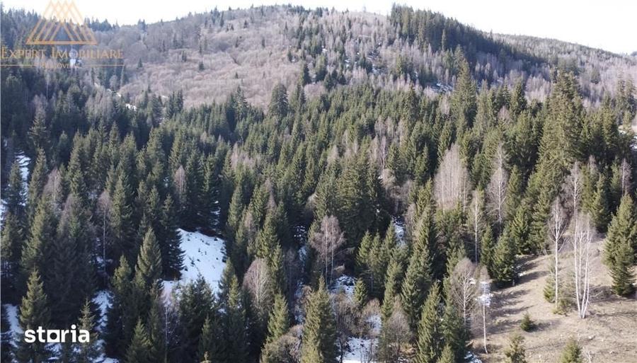 Teren de 43000 mp, în Central
