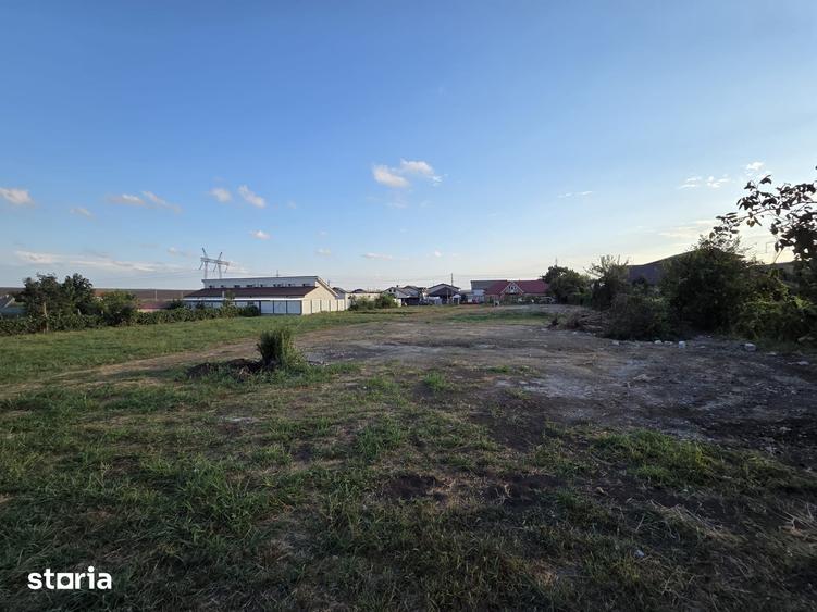 Teren de 3600 mp, în Ovidiu