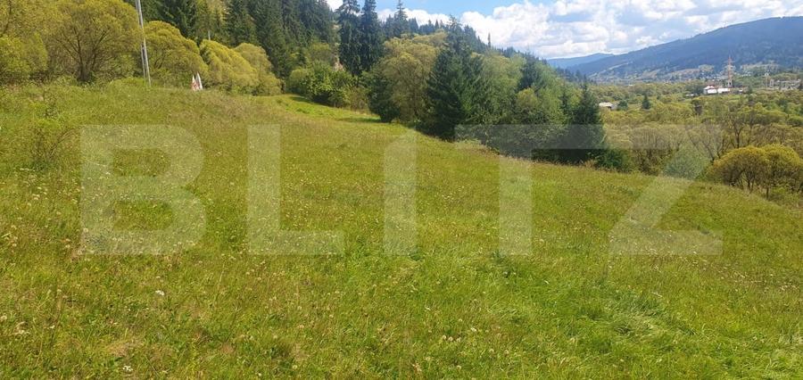 Teren Construcții intravilan de 7362 mp, în Vatra Dornei
