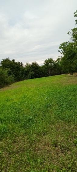 Teren agricol intravilan de 1050 mp, în Poeni