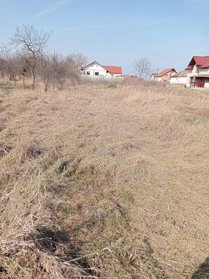 Teren de 1372 mp, în Săcălaz