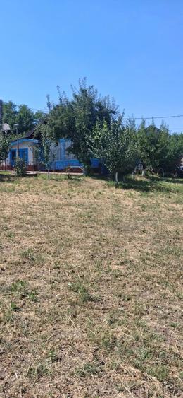 Casă cu 2 camere cu Teren 1000 Mp în Vânători