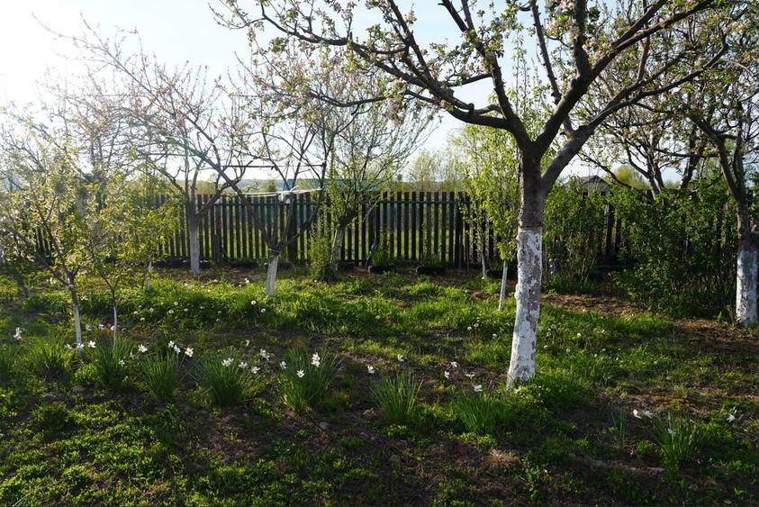 Casă cu 6 camere cu Teren 2000 Mp în Roșu