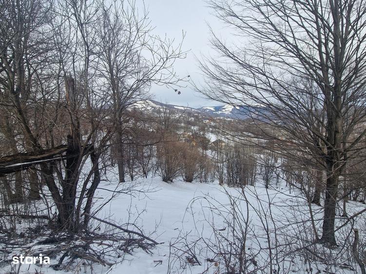 Teren de 12000 mp, în Ghioșești