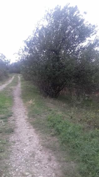 Spațiu comercial, în Cartierul Dâmbu