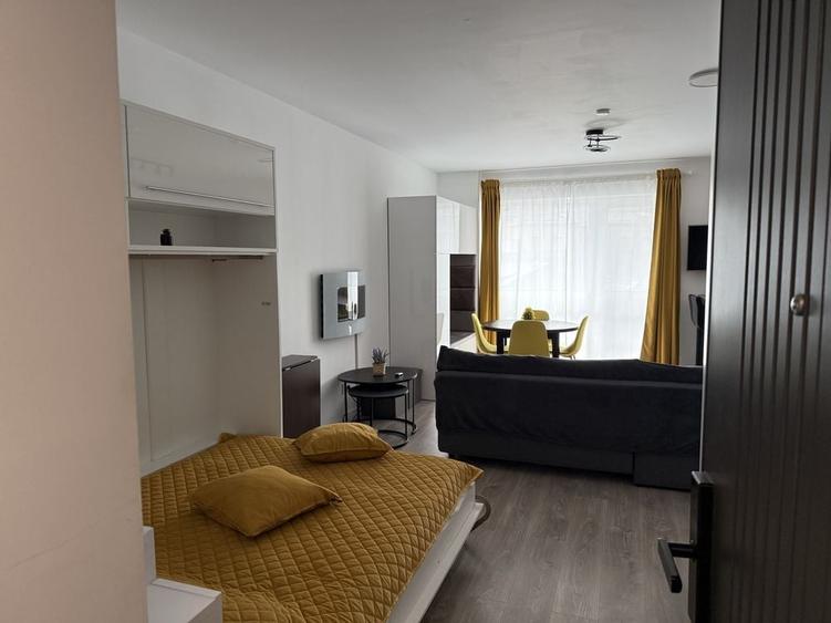 Inchiriez Studio GreenFuture Sinaia - 1