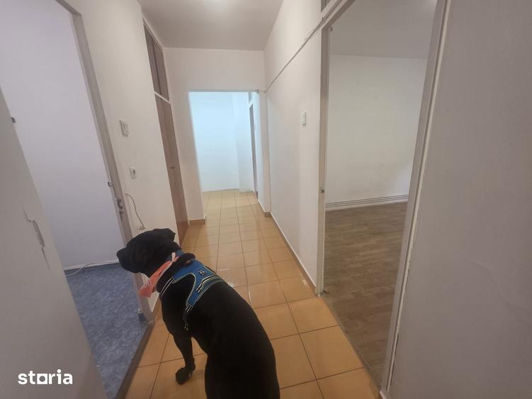 Apartament cu 2 camere decomandat în Tractorul