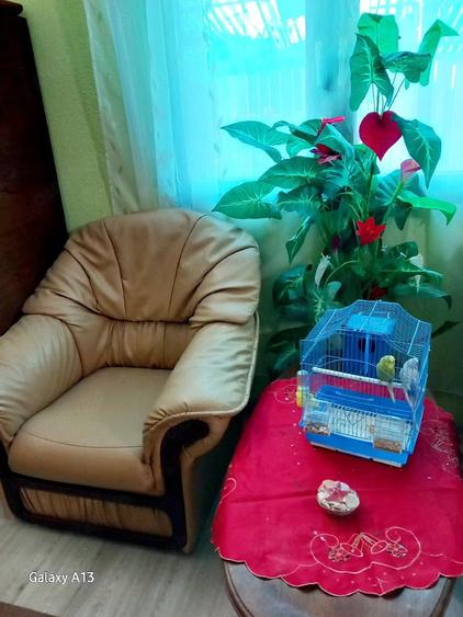 Spațiu comercial, de 50 mp, în Central