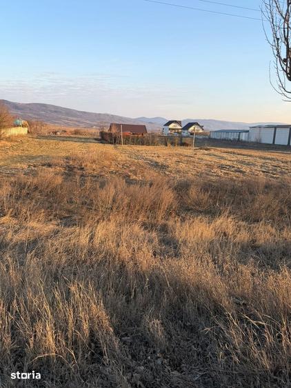Teren de 1000 mp, în Buhoci