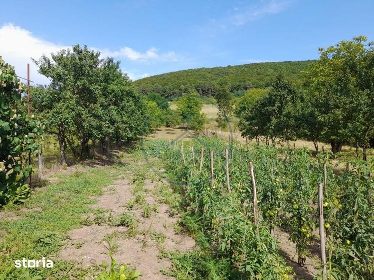 Casă cu 3 camere cu Teren 1480 Mp în Șieu