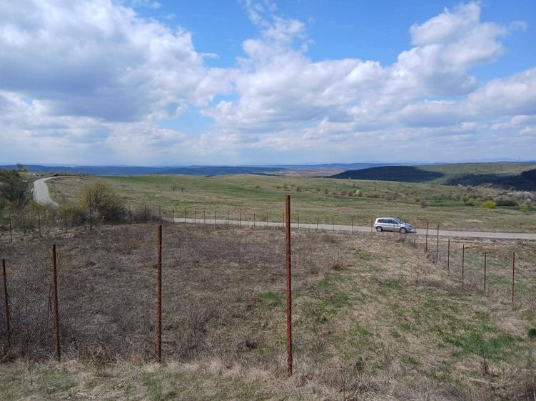 Teren Construcții intravilan de 1131 mp, în Mănăștur