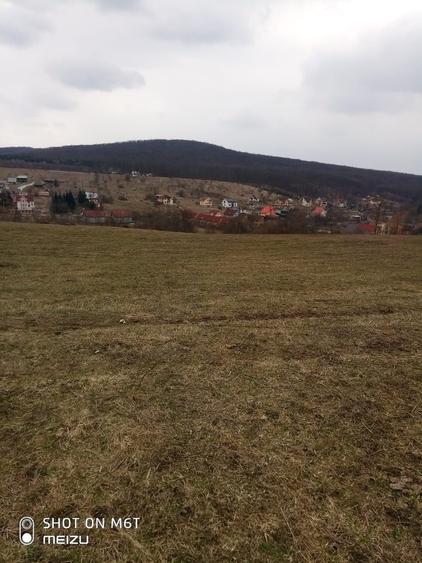 Teren de 8000 mp, în Exterior Vest