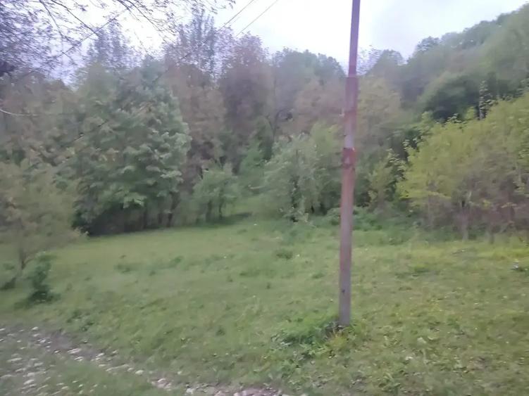 Teren intravilan de 1241 mp, în Provița de Sus