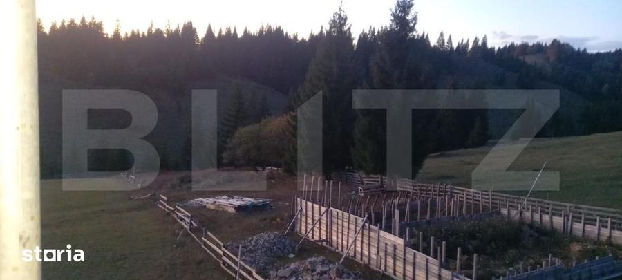 Teren de 2400 mp, în Dorna Candrenilor
