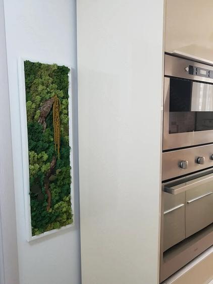 Apartament cu 3 camere semidecomandat în Exterior Vest