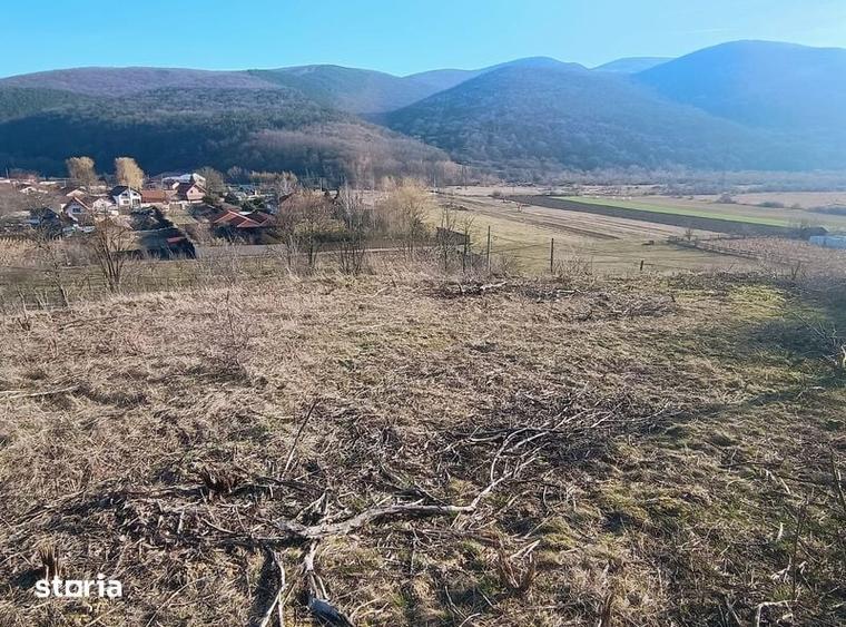 Teren de 1700 mp, în Ighiu